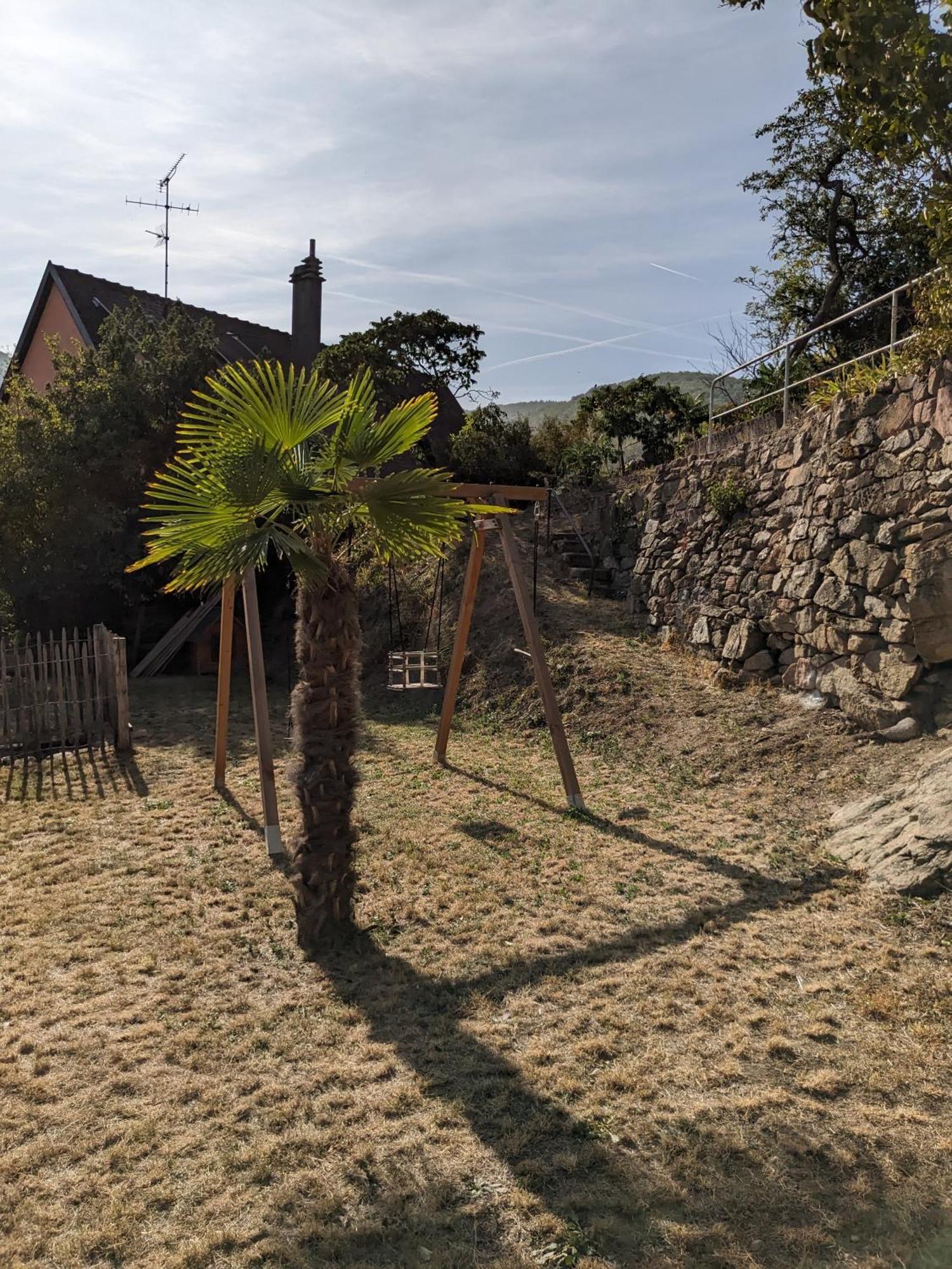 Le Avec Terrasse Et Piscine Holiday home Kaysersberg-Vignoble